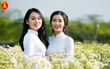 Ngẩn ngơ ngắm hoa khôi sinh viên Hà Nội khoe sắc bên cúc họa mi